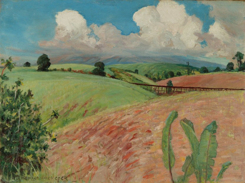 Canefields, Büyük Ada by D. Howard Hitchcock