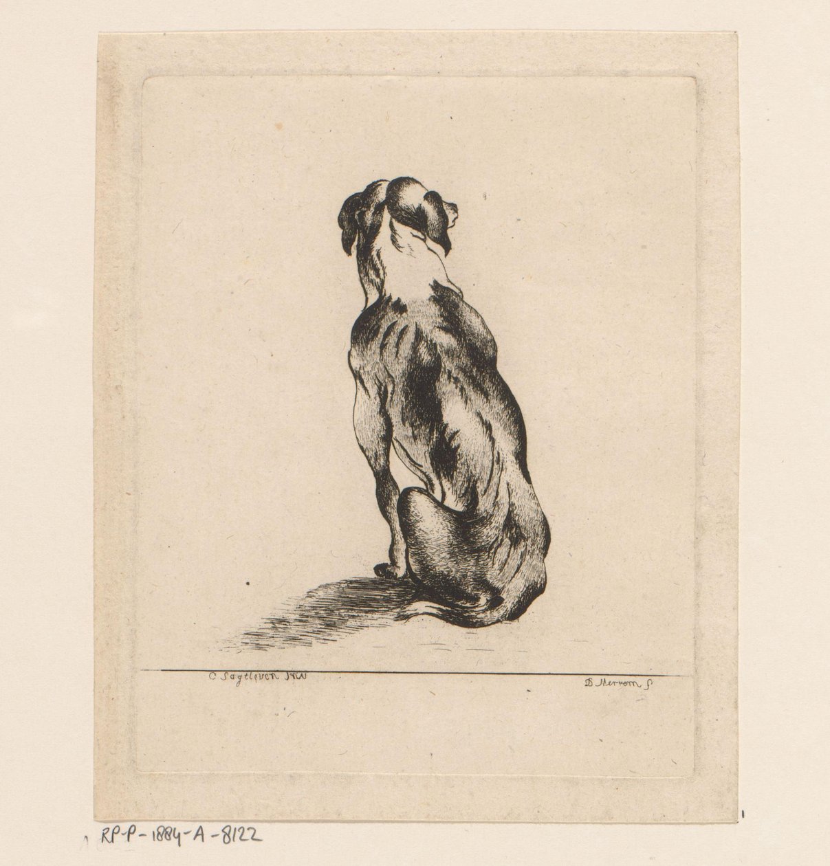 Arkadan görülen oturan köpek by D. Merrem