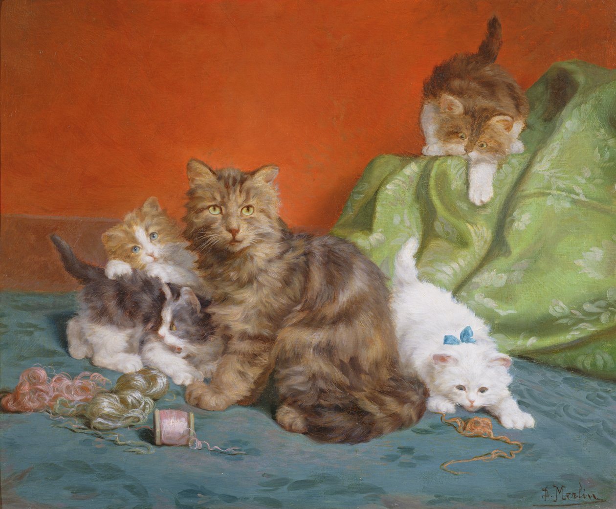 oynak yavru kedi by Daniel Merlin