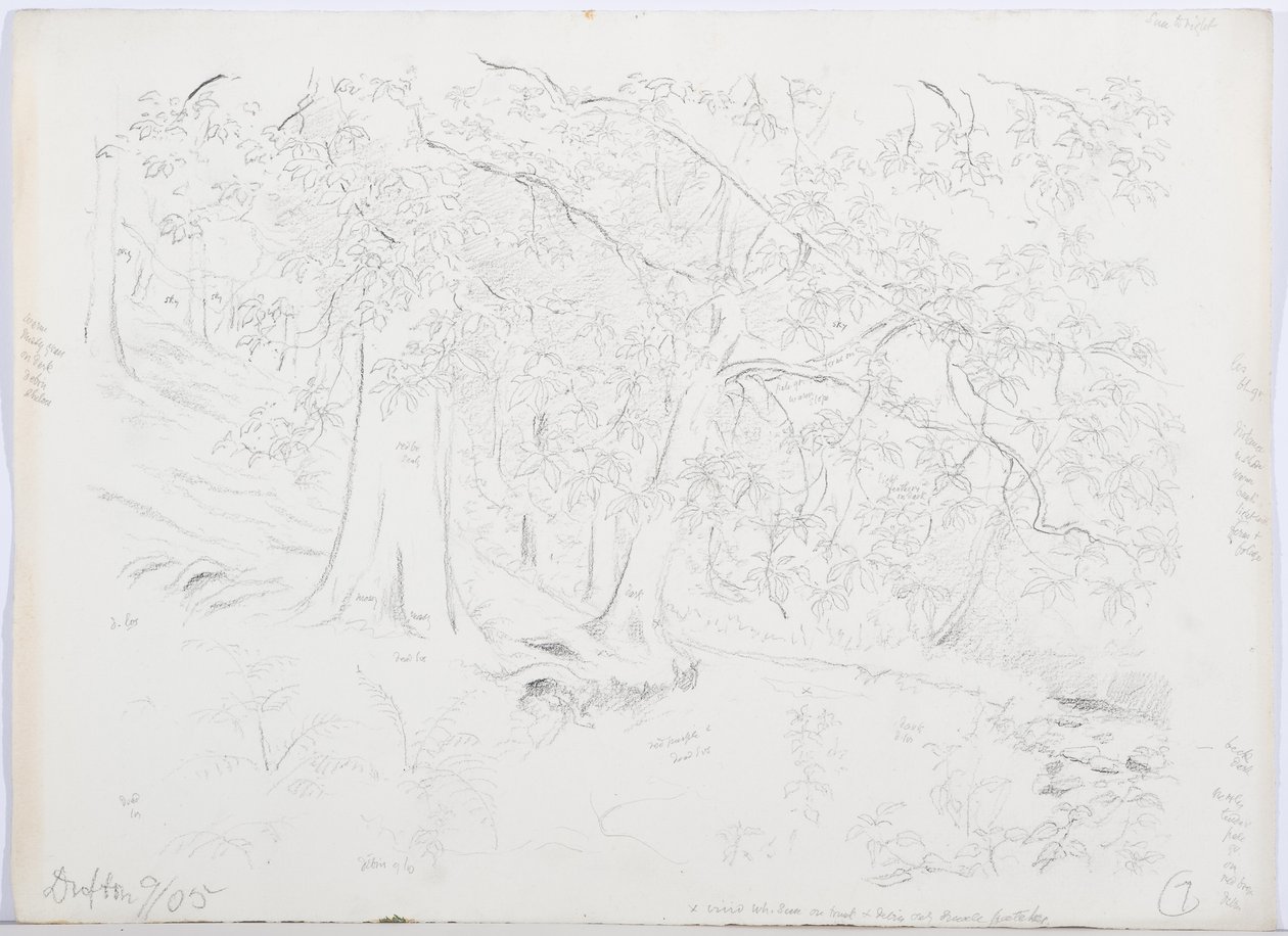 c.1916 (kağıt üzerinde kalem ve tuvalet) by Daniel Oliver