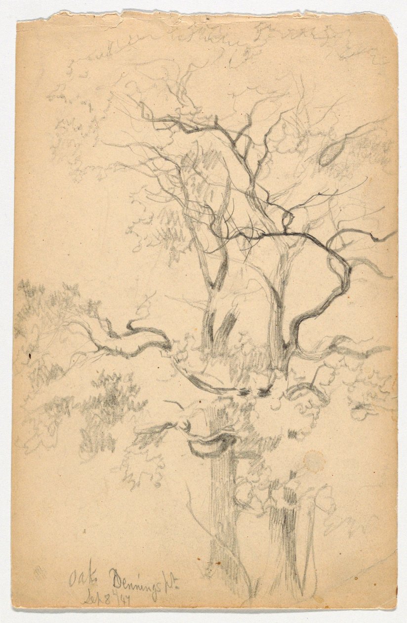 Dennings Point