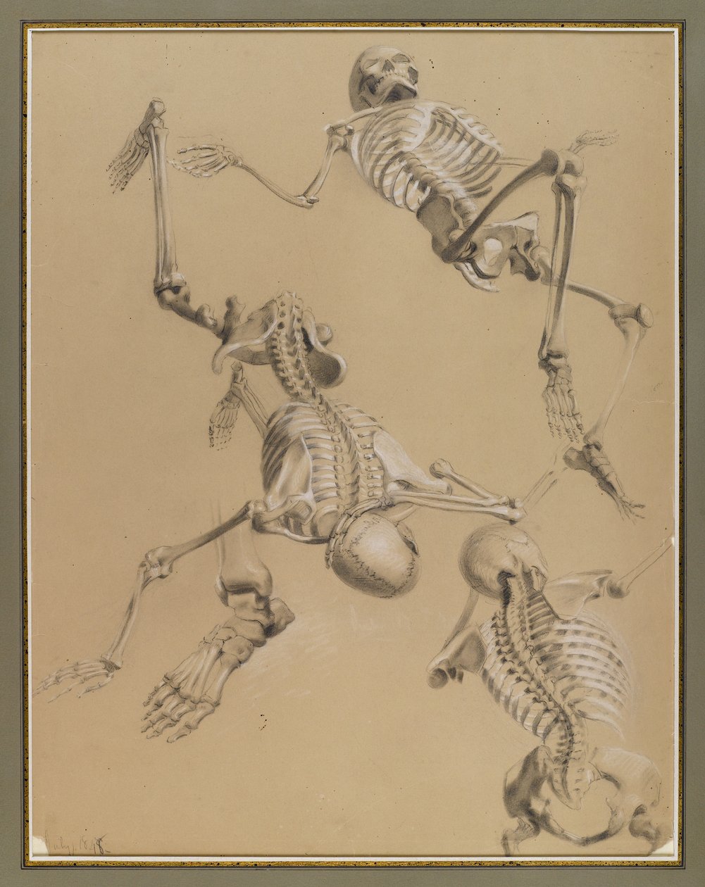 İskeletlerin incelenmesi, 1848 (kağıt üzerinde tebeşir) by Daniel Huntington