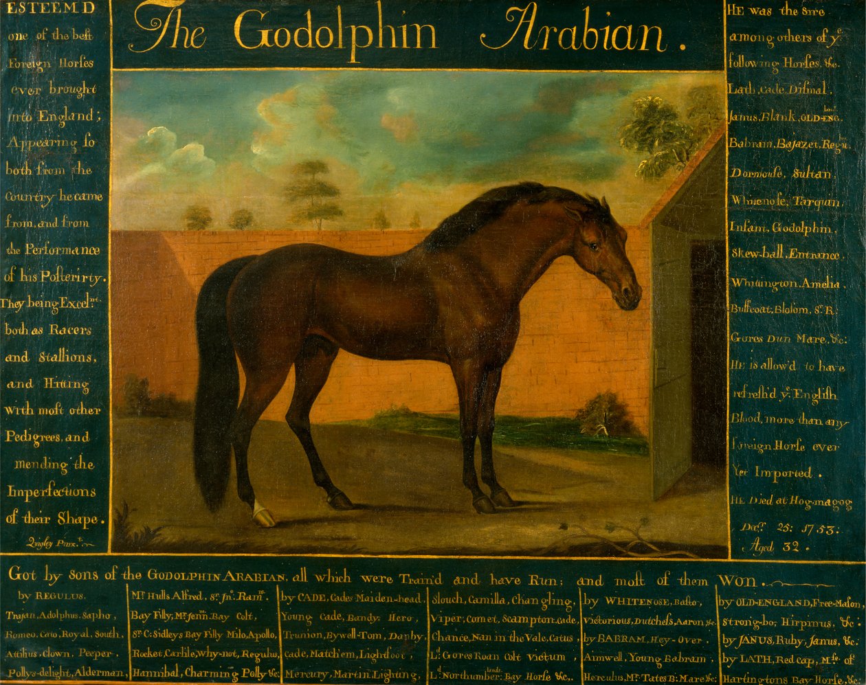 Godolphin Arap by Daniel Quigley
