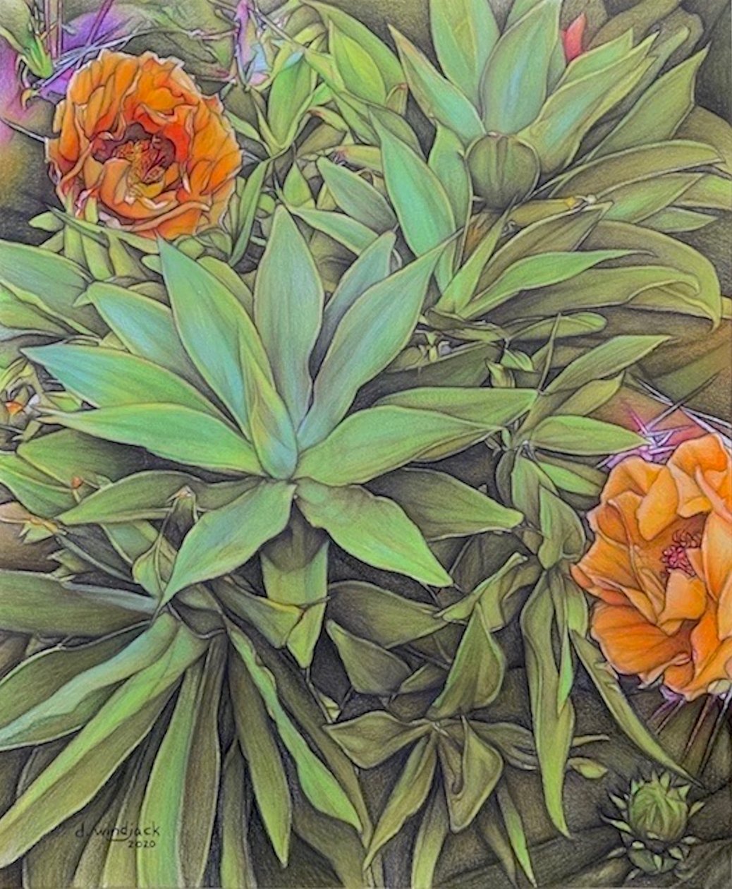  by Darrell Windjack