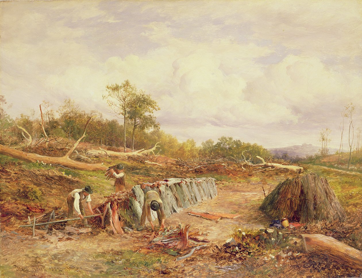 Meşe Kabuğu İstifleme by David Bates