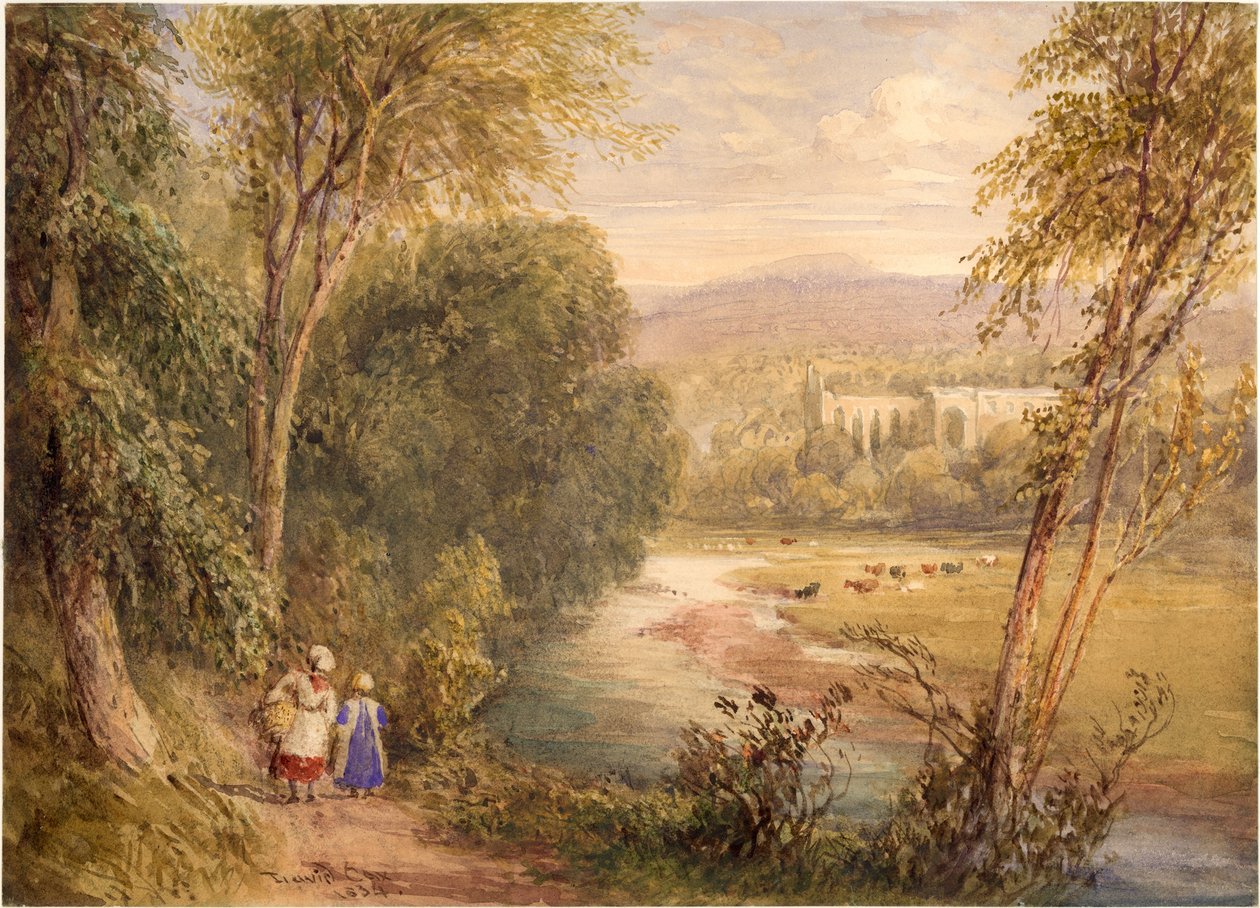 ಬೋಲ್ಟನ್ ಅಬ್ಬೆ ಟರ್ಕಿ by David Cox