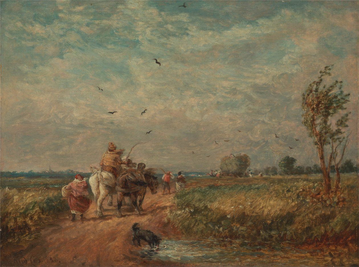 Hayfield
