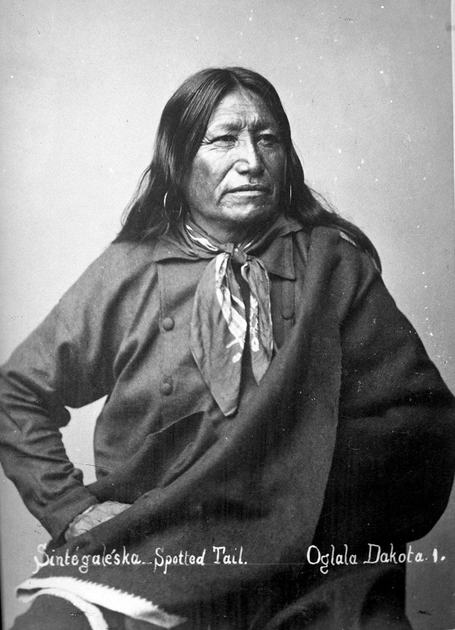 Sintegaleska, Benekli Kuyruk, Oglala Dakota I, 1880