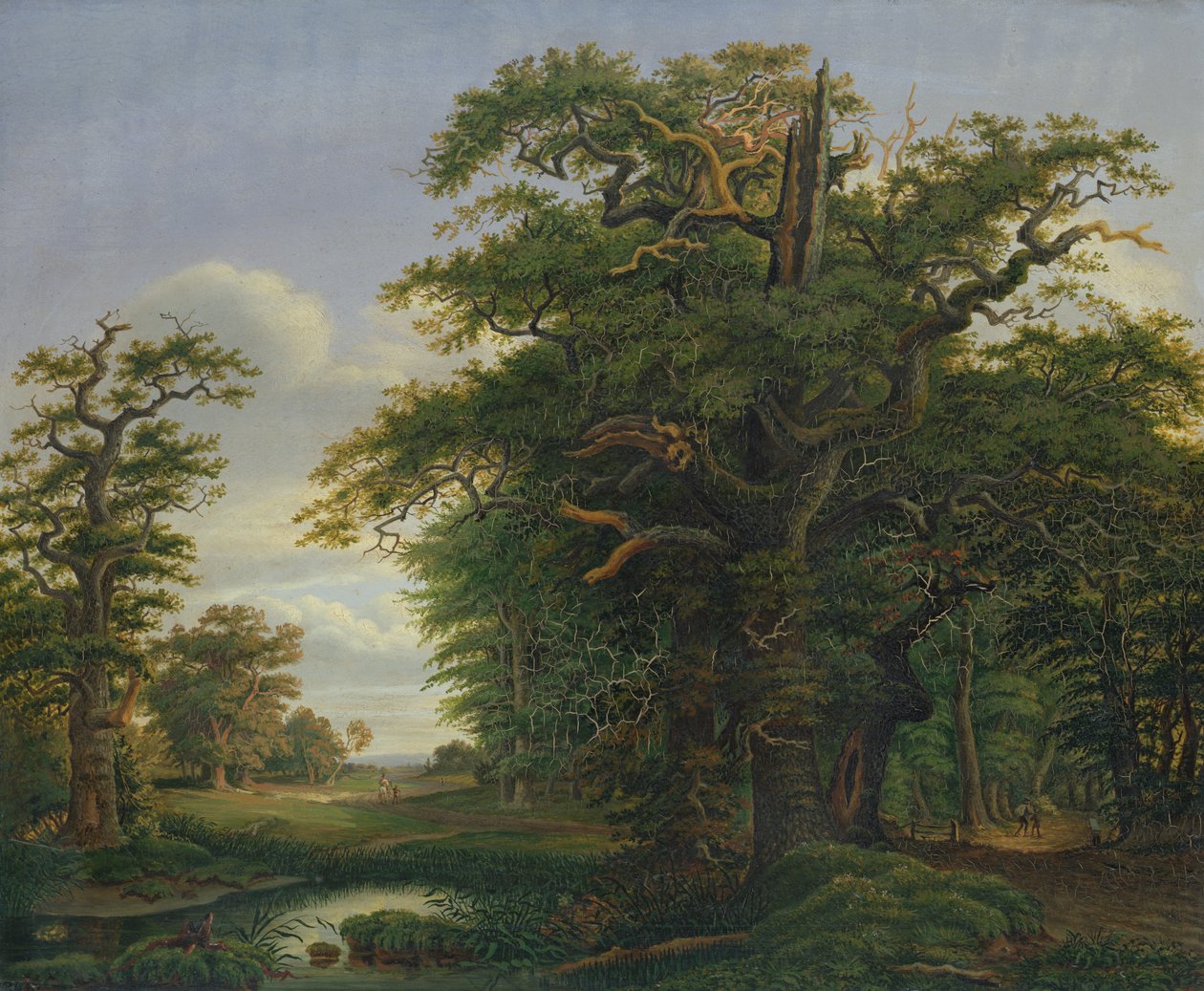 Meşe Ağacı, 1847 by David Christopher Mettlerkamp