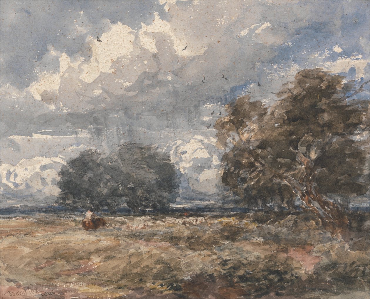  by David Cox
