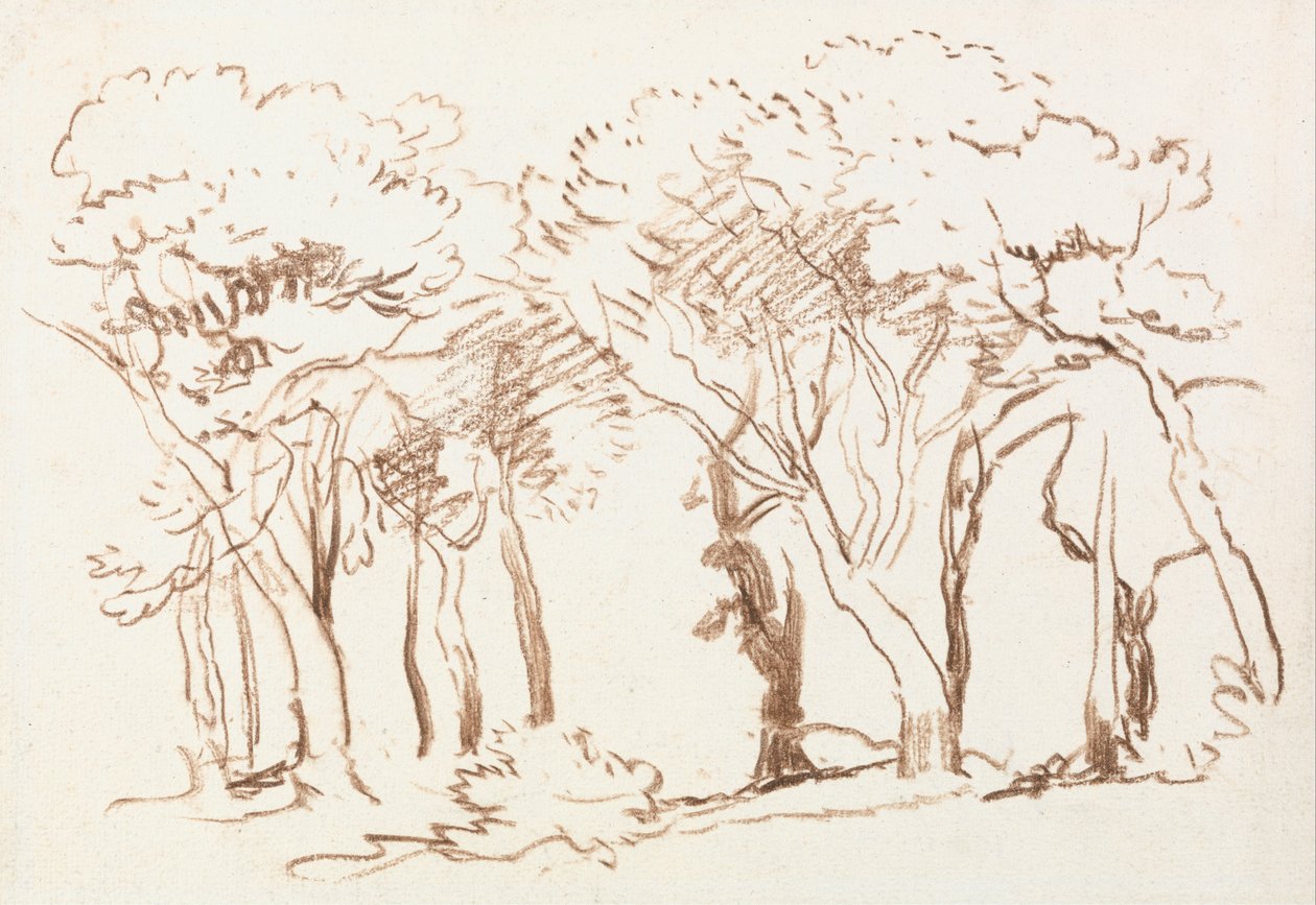  by David Cox
