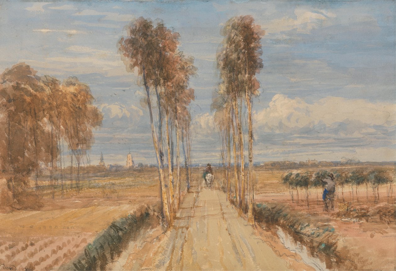 Kavak Bulvarı, Hobbema'dan sonra by David Cox