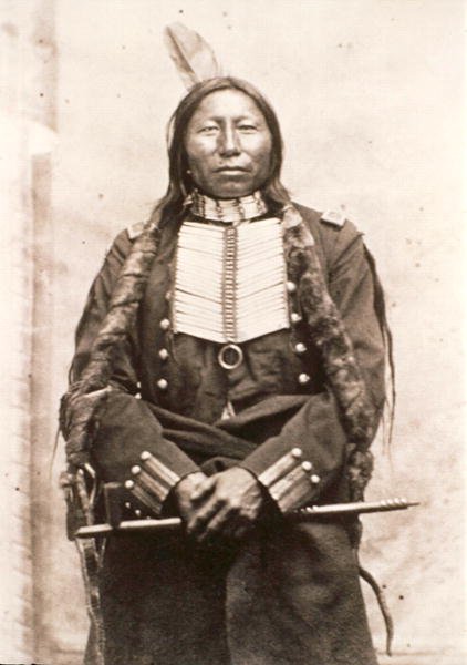 karga kral by David Frances Barry