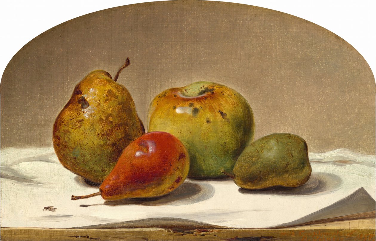 Üç Armut ve Bir Elma, 1857. by David Johnson