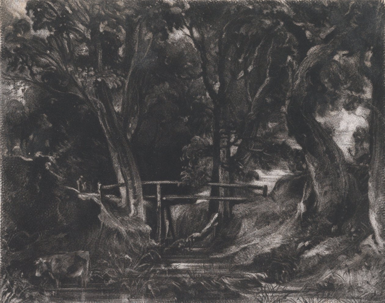 Bir Dell, Helmingham Park, Suffolk, 1830. by David Lucas