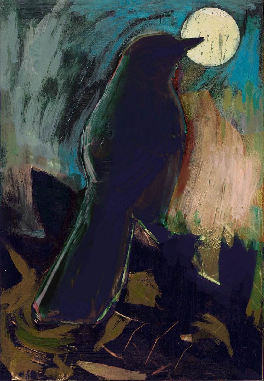 alaycı kuş, 2016 by David McConochie