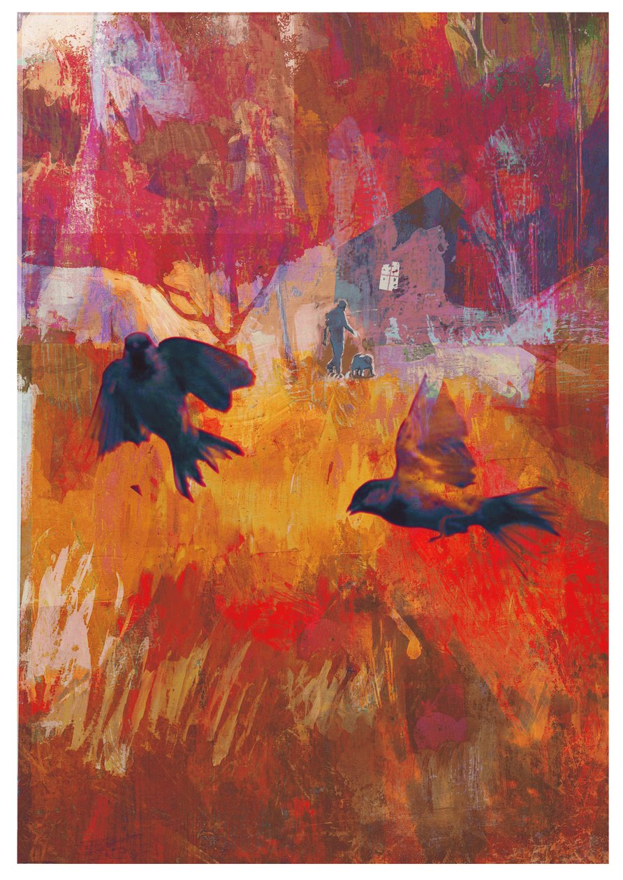 Serçeler, 2016 by David McConochie
