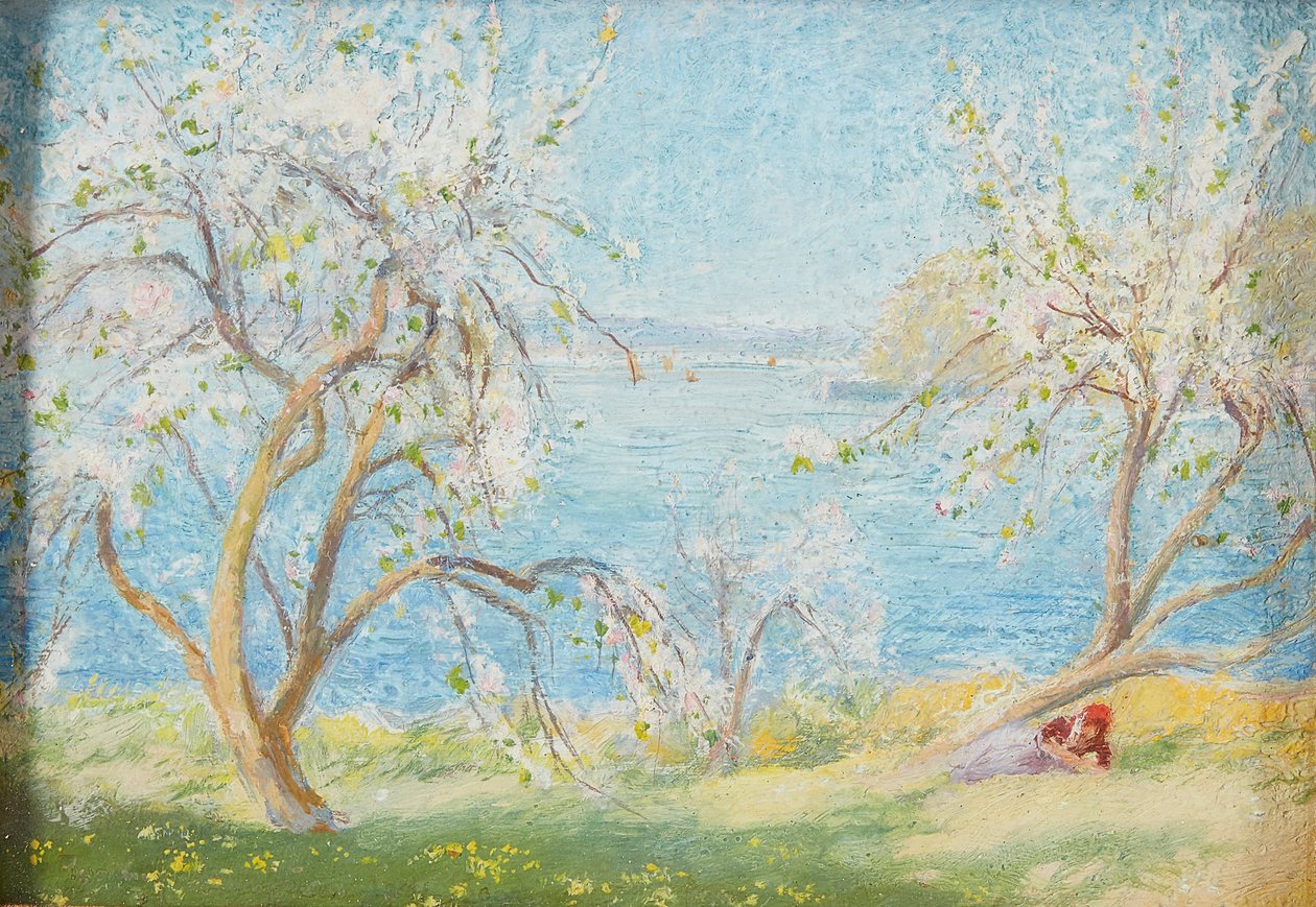 Spring Sunshine (gemide yağ) by David Murray