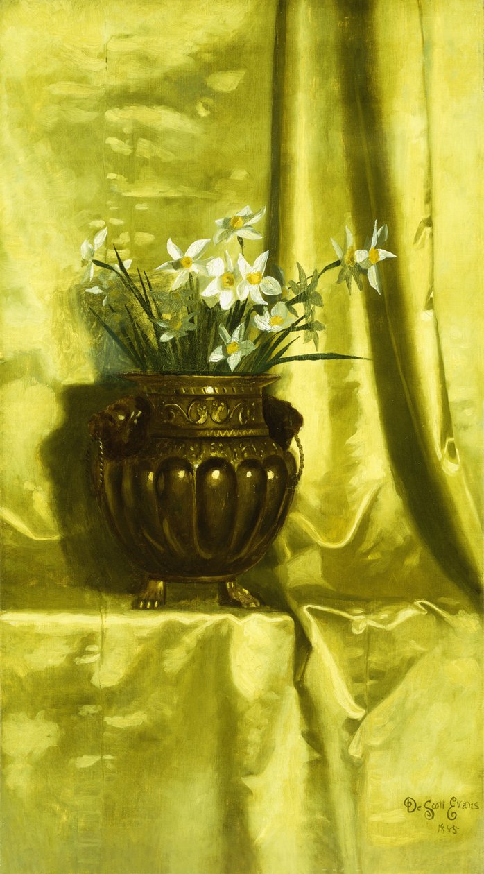 Pirinç Vazoda Nergis, by De Scott Evans