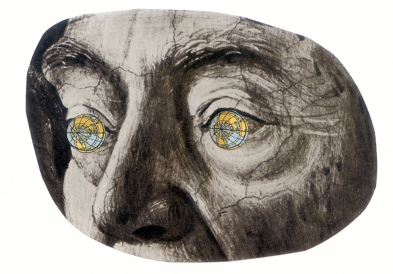 Küre gözleri, 2016 (kolaj) by Deirdre Kelly