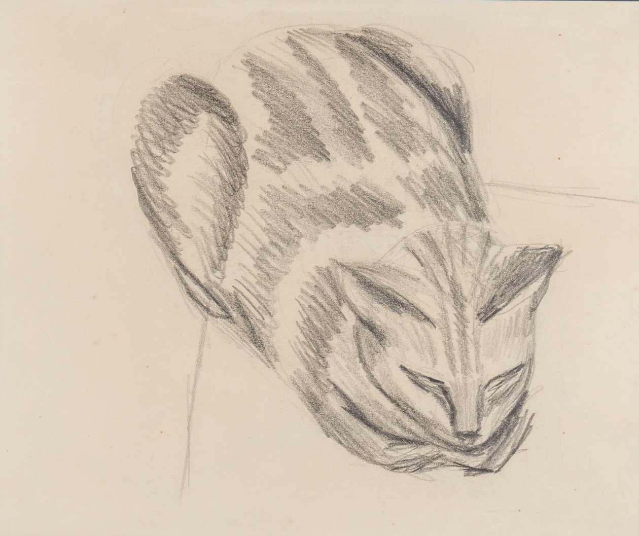 Uyuyan Kedi (kağıt üzerine kurşun kalem) by Denton Welch