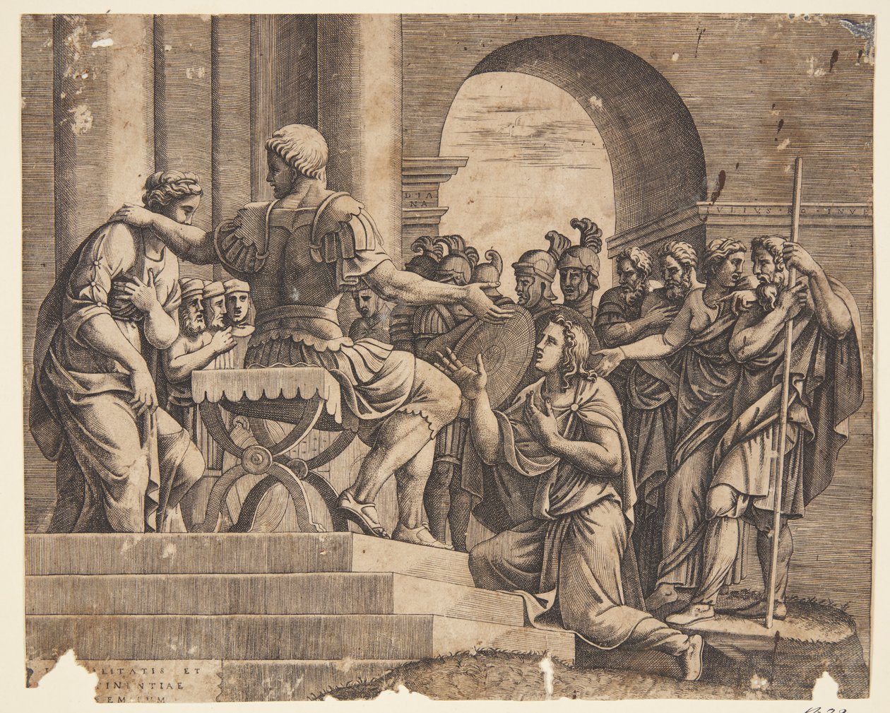 Scipio
