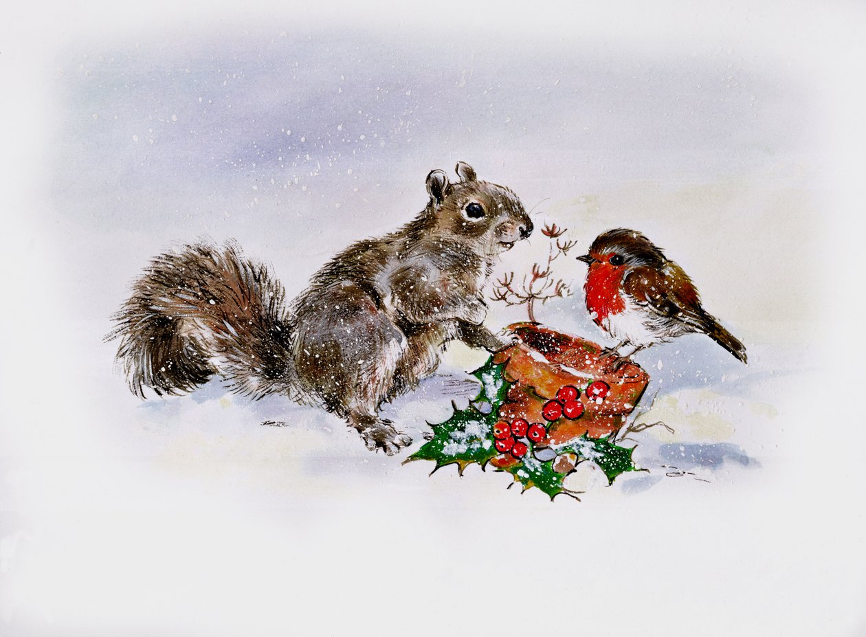 Sincap ve Robin by Diane Matthes