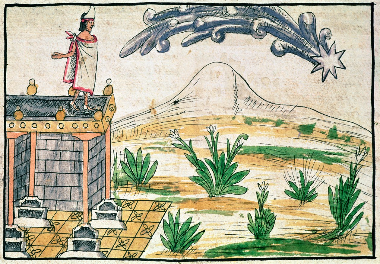 Montezuma II (1466-1520) bir kuyruklu yıldızı izliyor, 1579 (parşömen) by Diego Duran