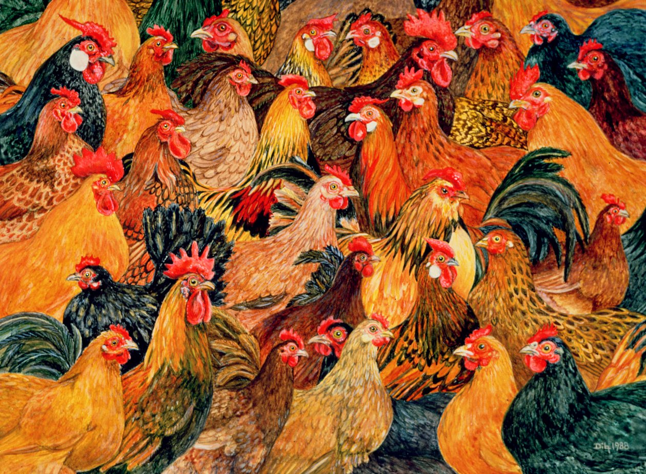 güzel kümes hayvanları by Ditz