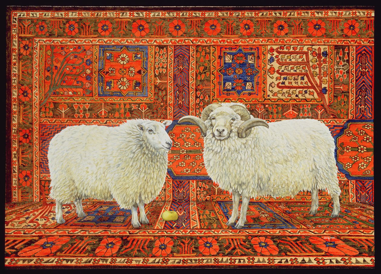 İran Yünü by Ditz