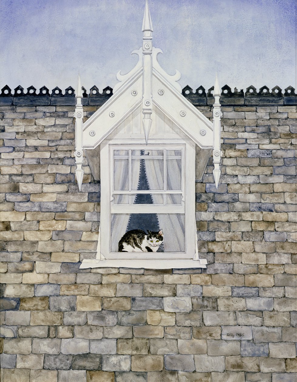 St.Helier Dormer Kedisi by Ditz