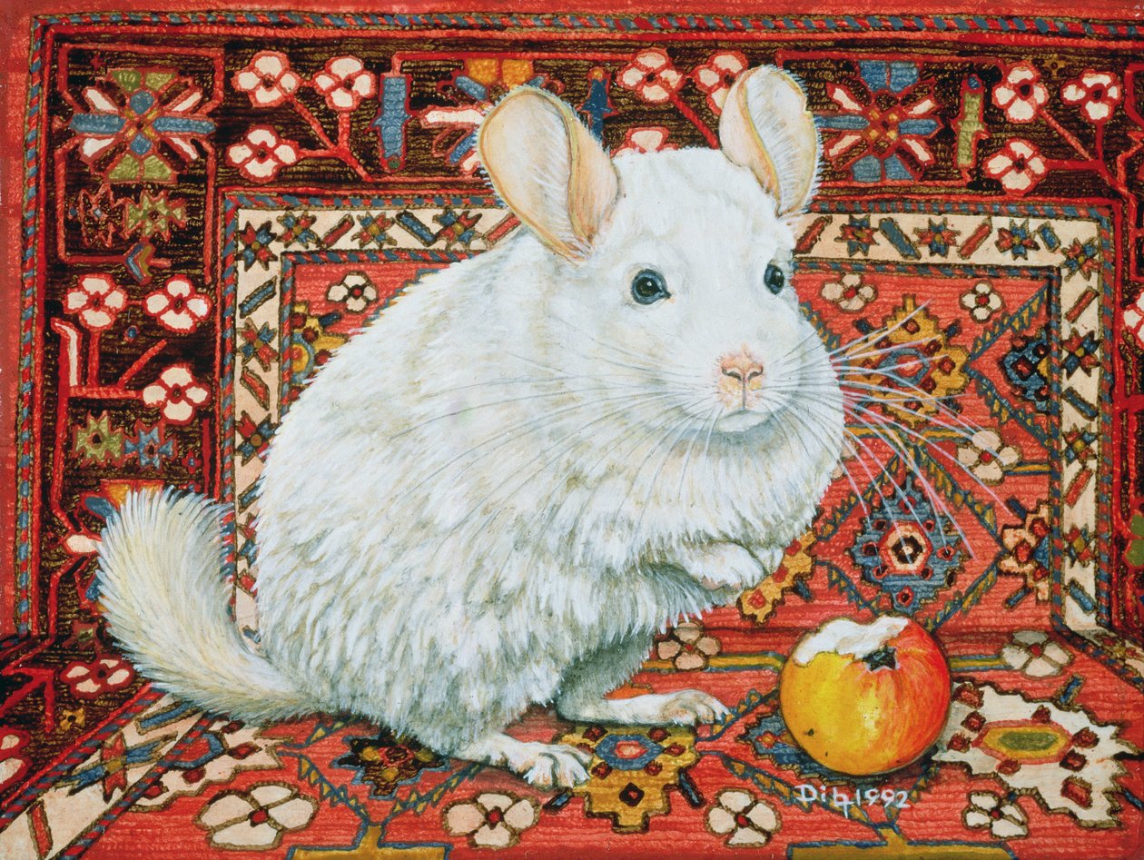 Halı-Chinchilla, 1992 by Ditz