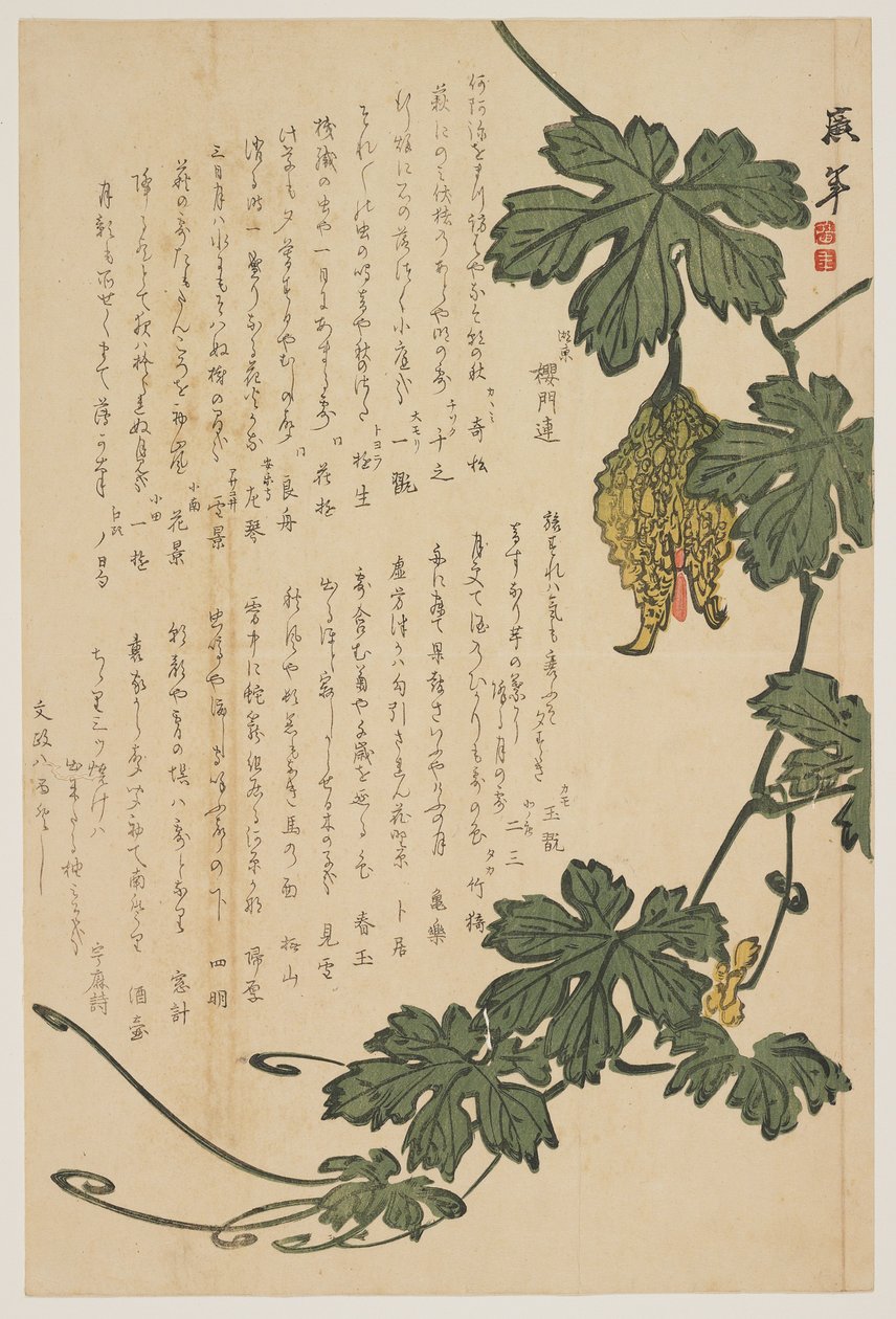 Acı Kavun, 1825 (renkli tahta baskı) by Dodo Hirotoshi