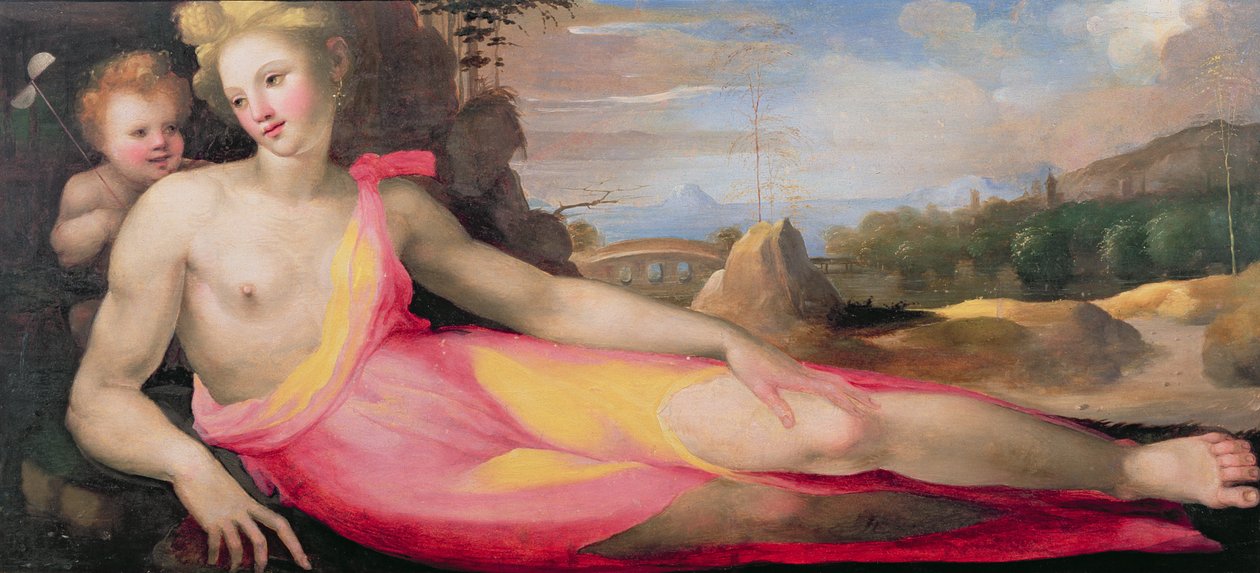 Venüs ve Aşk Tanrısı, c.1519 (panel) by Domenico di Pace Beccafumi  