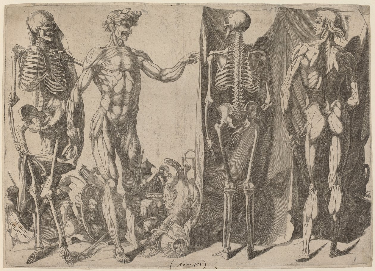 İskeletler ve Deriler by Domenico del Barbiere