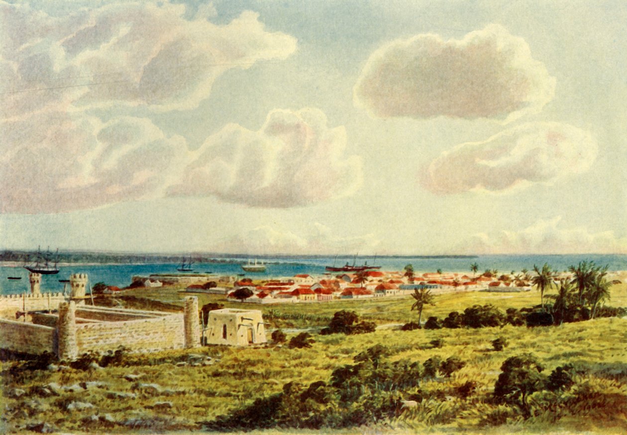 "Delagoa Körfezi", 1902. by Donald McCracken