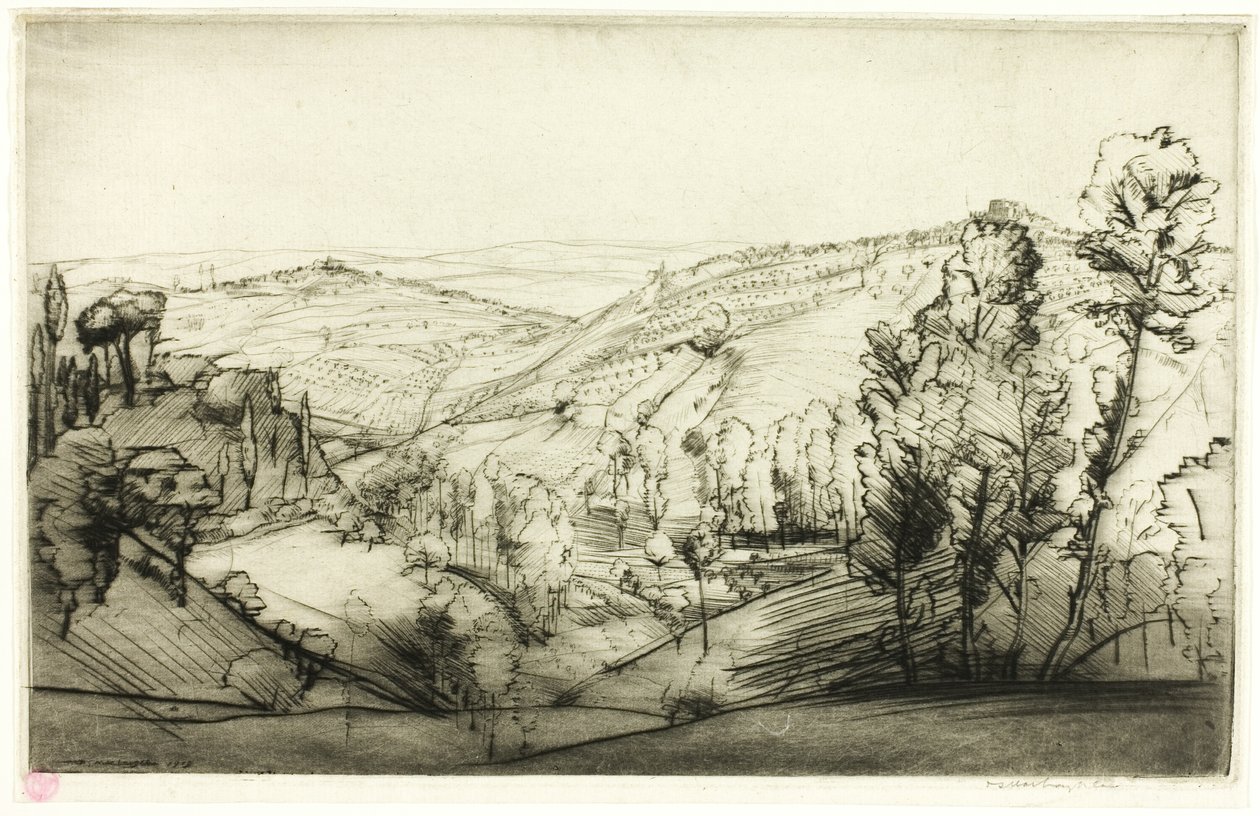 San Gimignano Tarlaları by Donald Shaw MacLaughlan