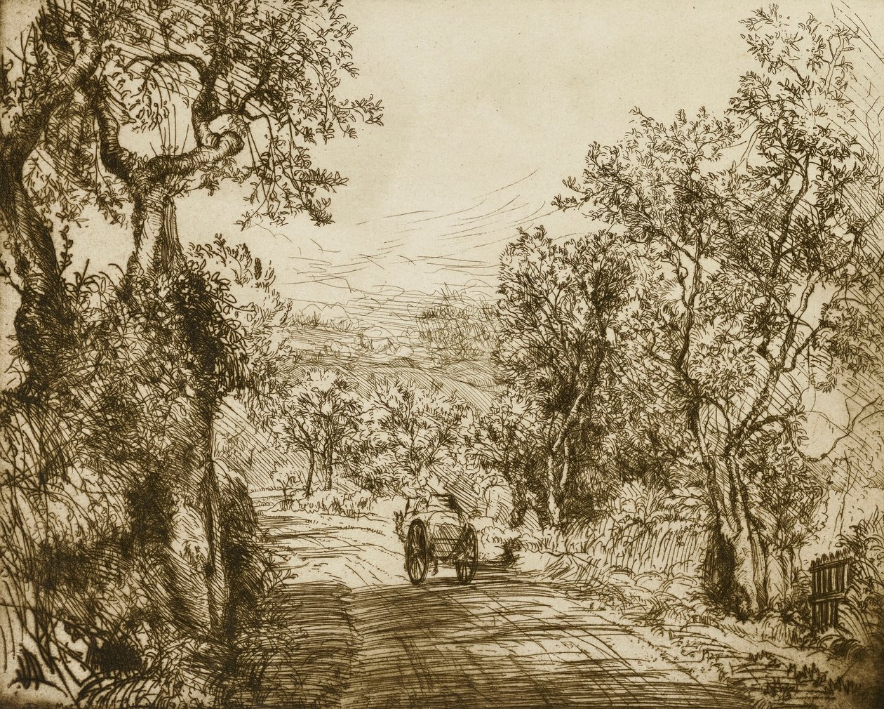  by Donald Shaw MacLaughlan