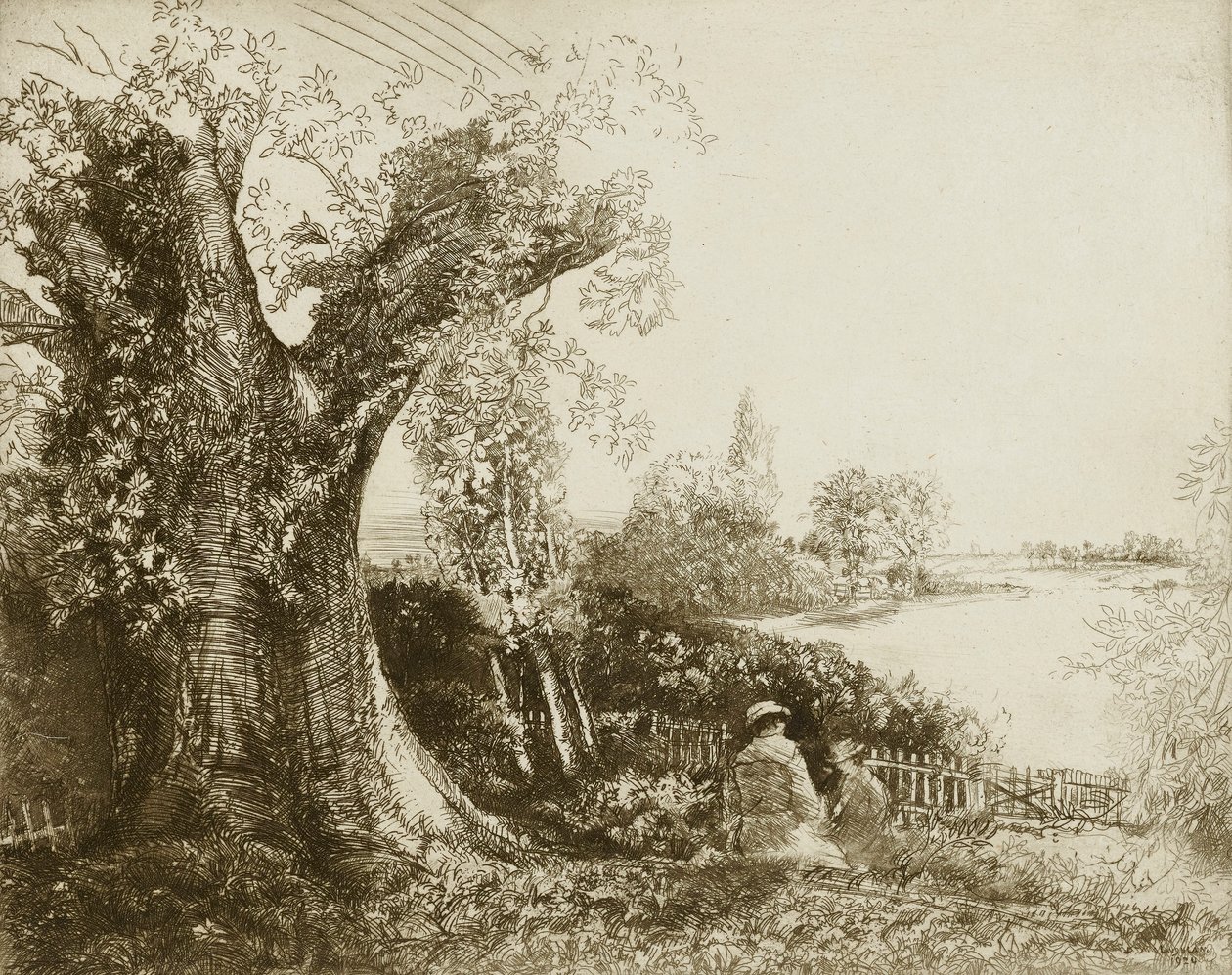  by Donald Shaw MacLaughlan