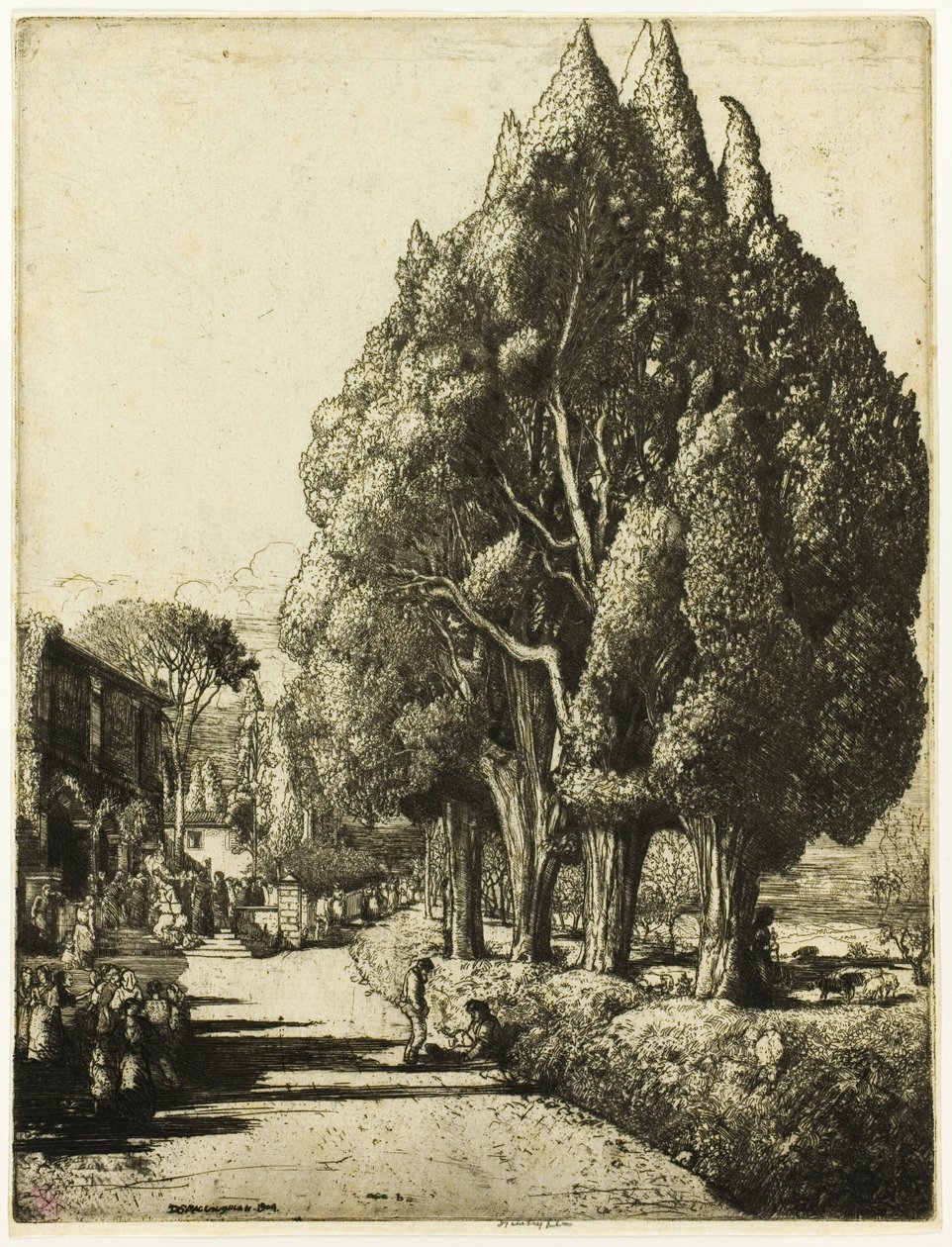 Selvi Korusu by Donald Shaw MacLaughlan