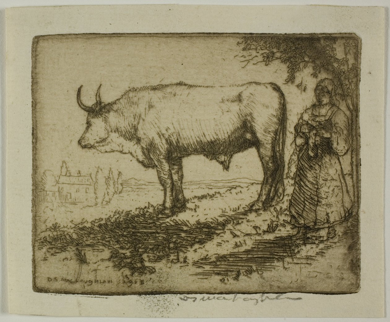Beyaz Öküz by Donald Shaw MacLaughlan