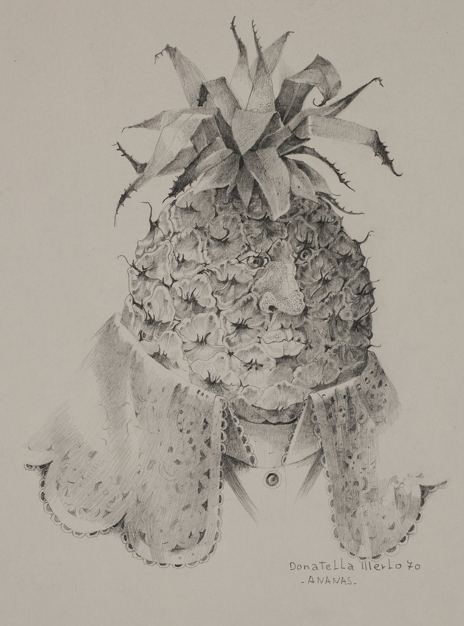 Ananas by Donatella Merlo