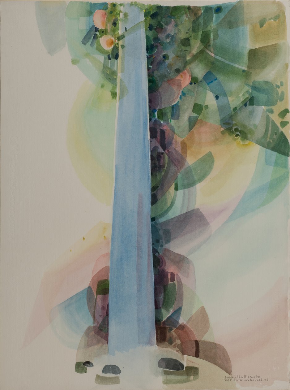 Nalcaslı Saltillo by Donatella Merlo