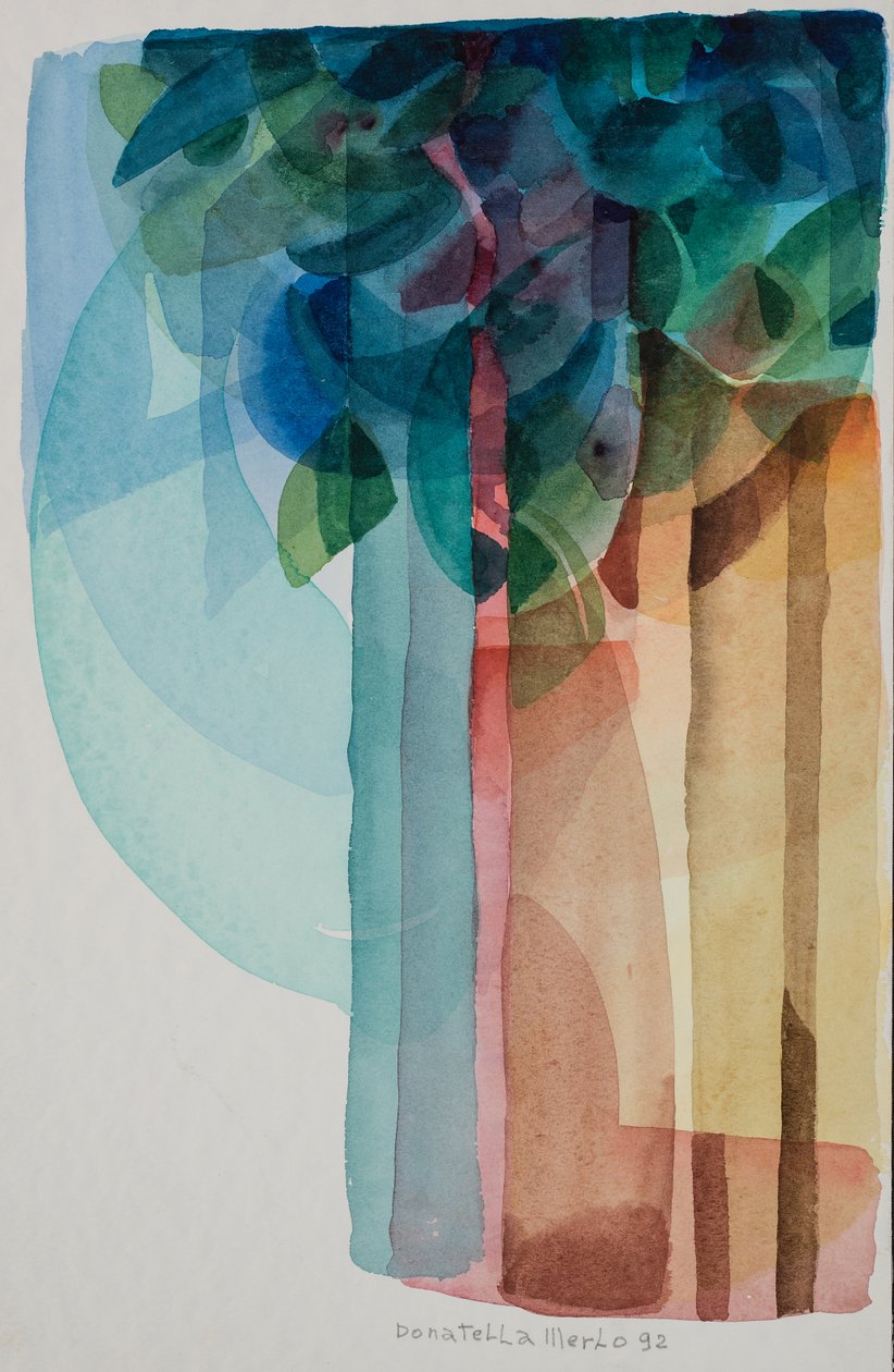 Şelale by Donatella Merlo
