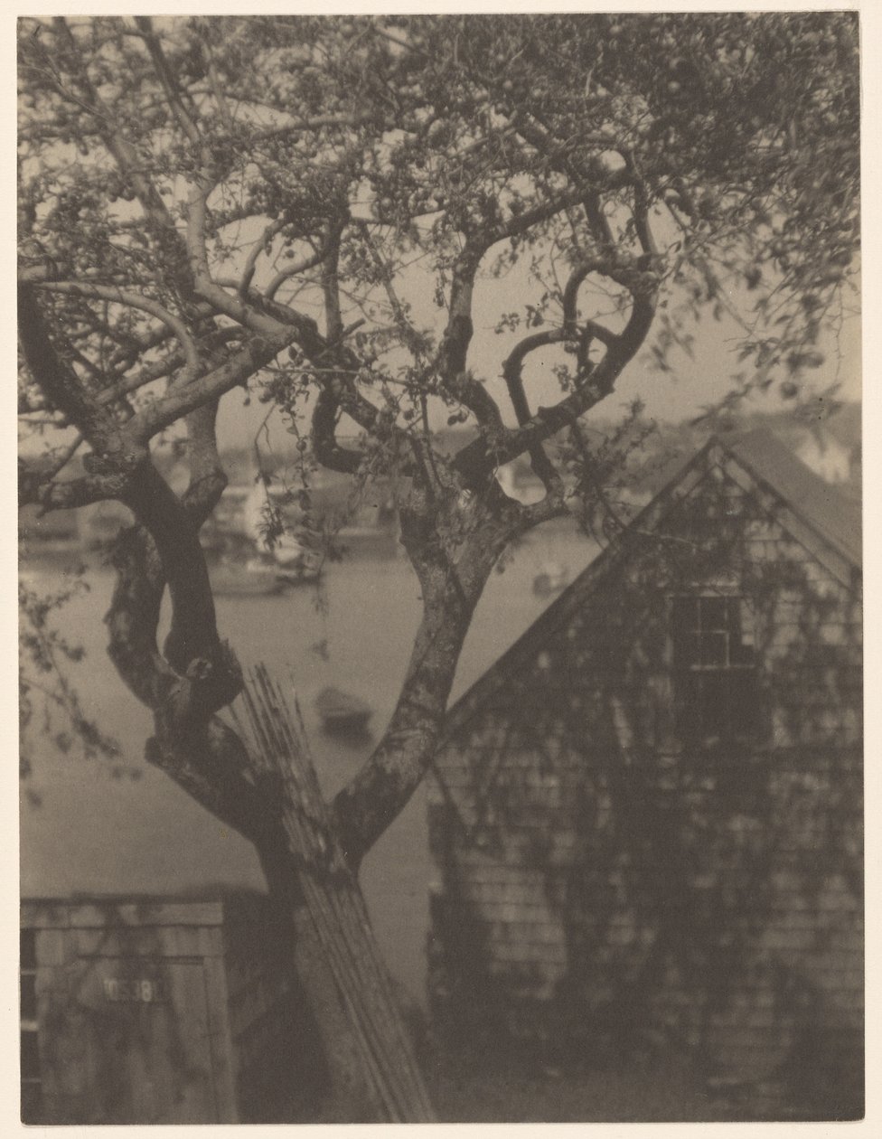  by Doris Ulmann
