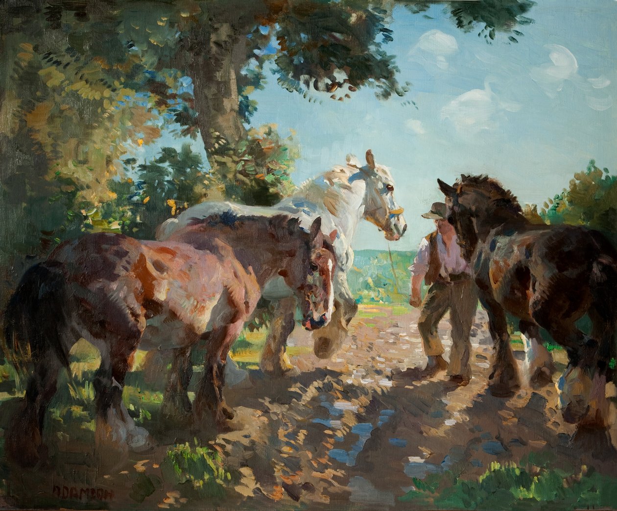 Meraya Gitmek by Dorothy Adamson