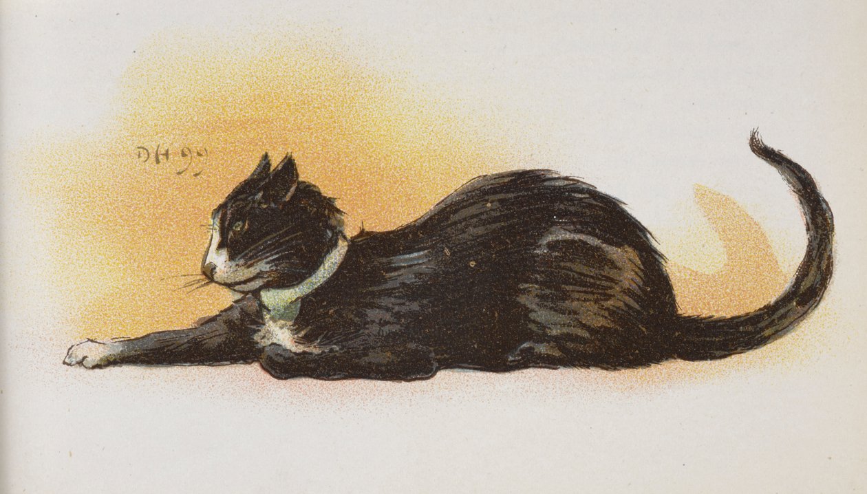 Bir kedi. by Dudley Hardy
