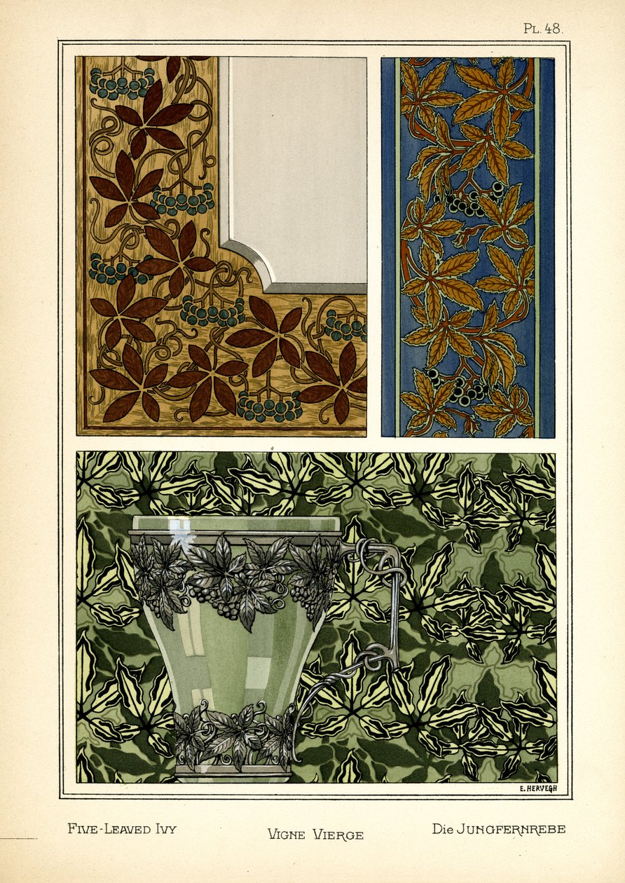 Beş yapraklı sarmaşık by E. Hervegh