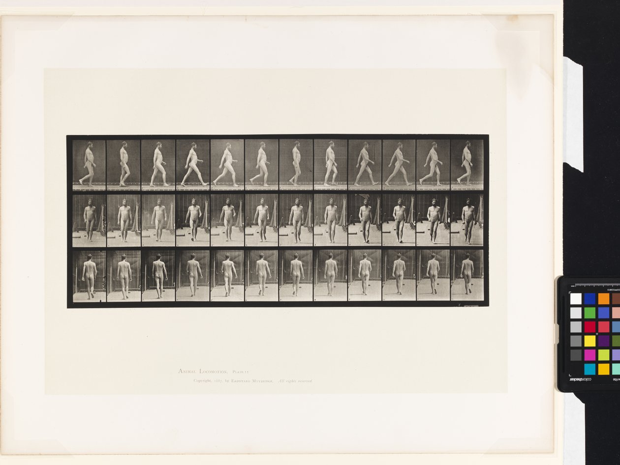 Plaka 11. Yürüyüş by Eadweard Muybridge