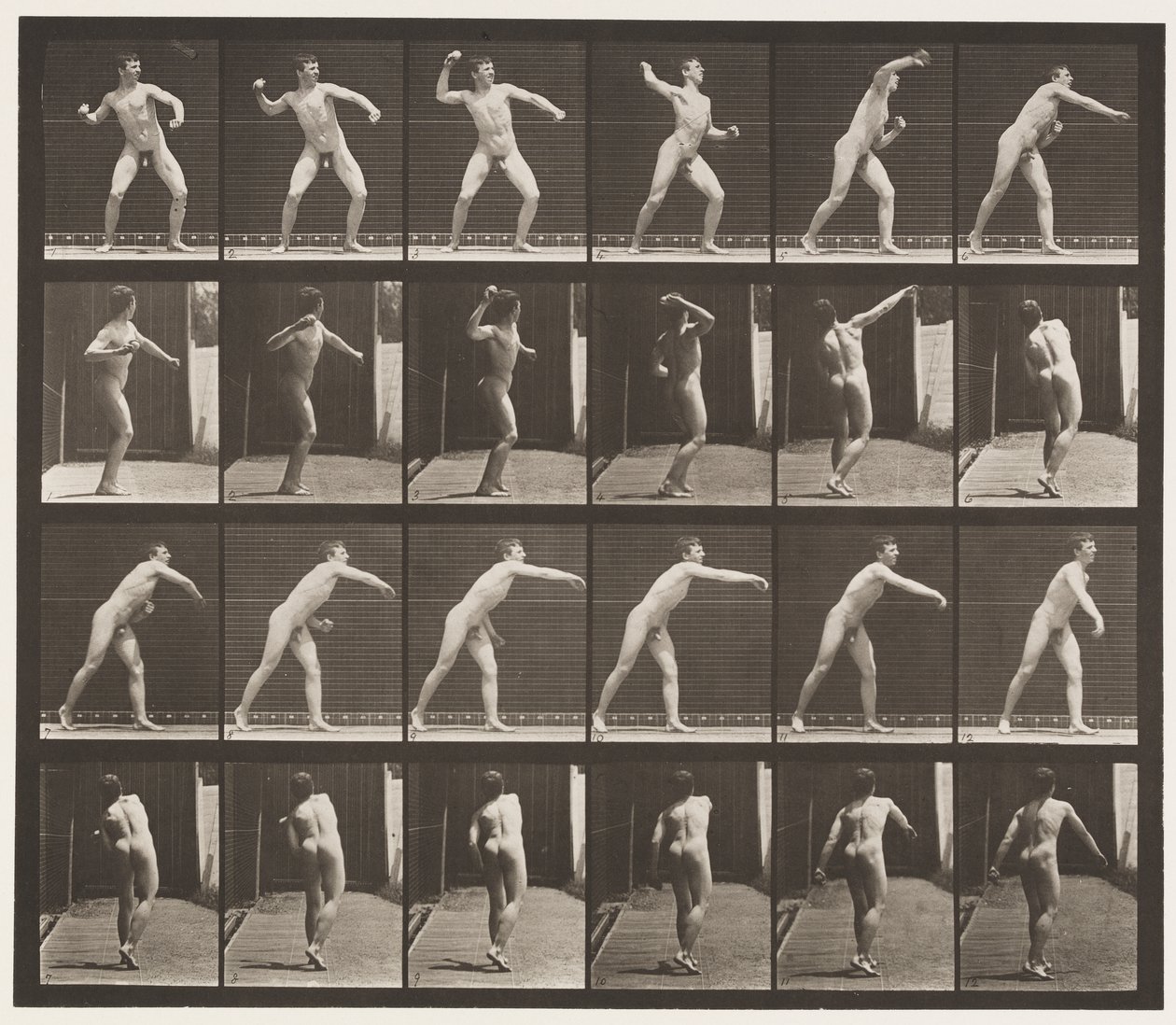 Plaka 286. Beyzbol topu; Atma by Eadweard Muybridge
